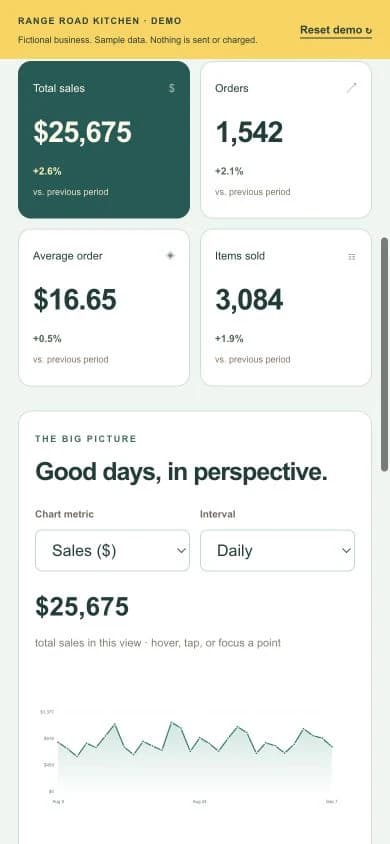 Close-up of the mobile sales dashboard and daily sales graph