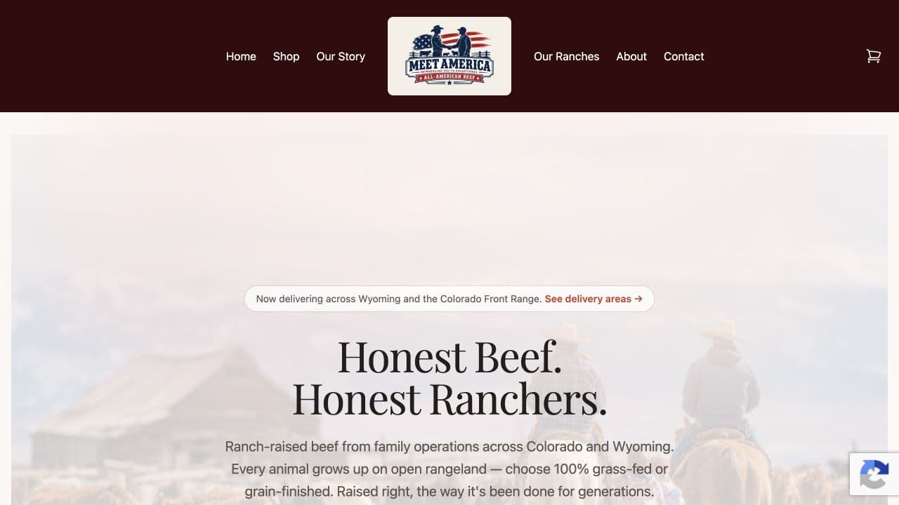 Screenshot of the Meet America homepage
